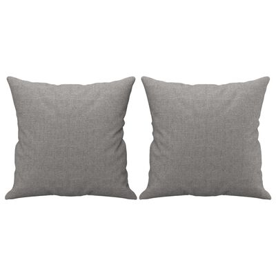 vidaXL Coussins décoratifs lot de 2 Gris clair 40x40 cm Tissu