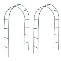 vidaXL Arche de jardin 2 pcs pour plantes grimpantes