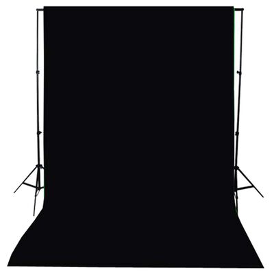 vidaXL Kit de studio photo avec boîtes à lumière et toile de fond