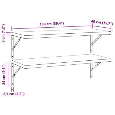 vidaXL Étagères murales 2 pcs 100x40 cm noir acier inoxydable