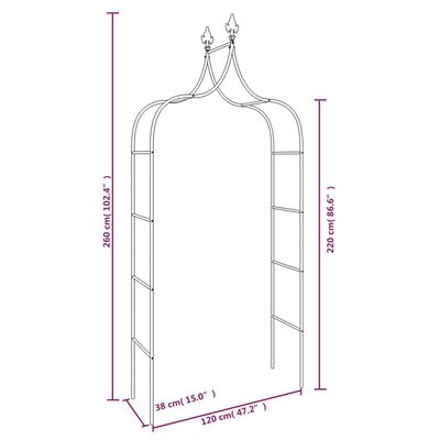 vidaXL Arches de jardin 2 pcs Noir 120x38x260 cm Acier