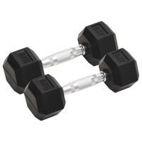 vidaXL Haltères 2 pcs 8 kg Fonte