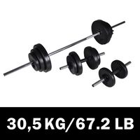 vidaXL Haltère 2 pcs 30,5 kg