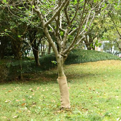 vidaXL Rouleau de jute 0,5x25 m 100 % jute 200 g/m²