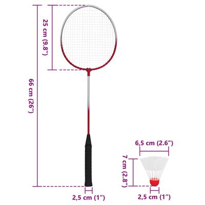 vidaXL Set de badminton avec 4 raquettes et filet 620x151 cm