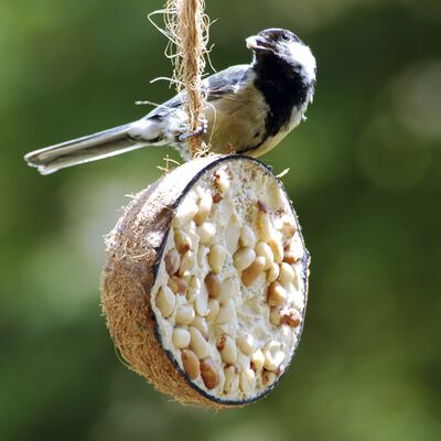 Nourriture pour oiseaux No-name - Mélange de graines pour oiseaux