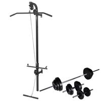 vidaXL Tour de musculation murale avec jeu d'haltères et poids 30,5 kg