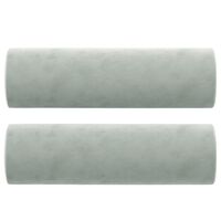 vidaXL Coussins décoratifs 2 pcs Gris clair Ø15x50 cm Velours