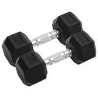 vidaXL Haltères 2 pcs 16 kg Fonte