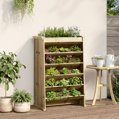 vidaXL Jardinière de plantes aromatiques 6 niveaux bois pin imprégné