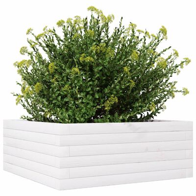 vidaXL Jardinière blanc 60x60x23 cm bois de pin massif