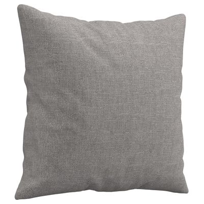 vidaXL Coussins décoratifs lot de 2 Gris clair 40x40 cm Tissu