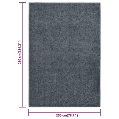 vidaXL Tapis à poils courts 200x290 cm Anthracite