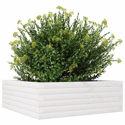 vidaXL Jardinière blanc 70x70x23 cm bois de pin massif