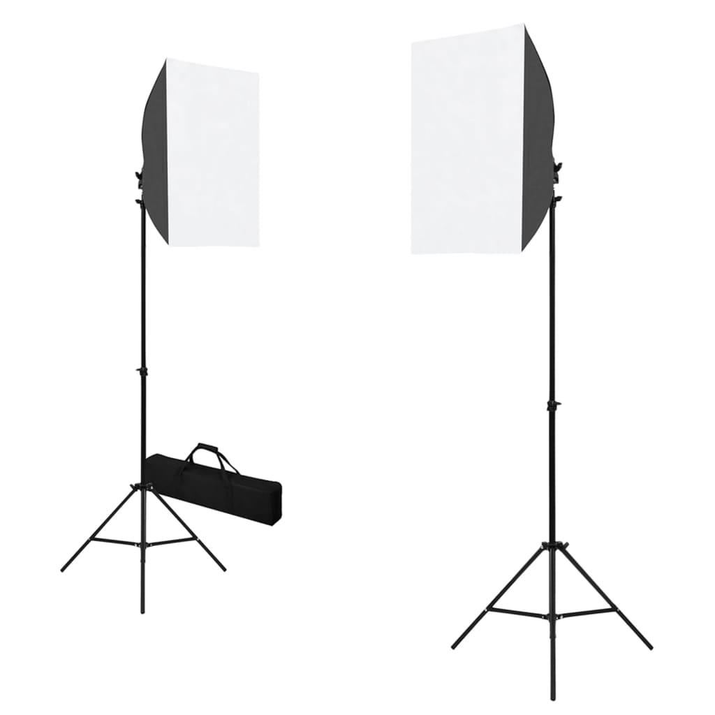 vidaXL Kit de studio photo avec boîtes à lumière et toile de fond