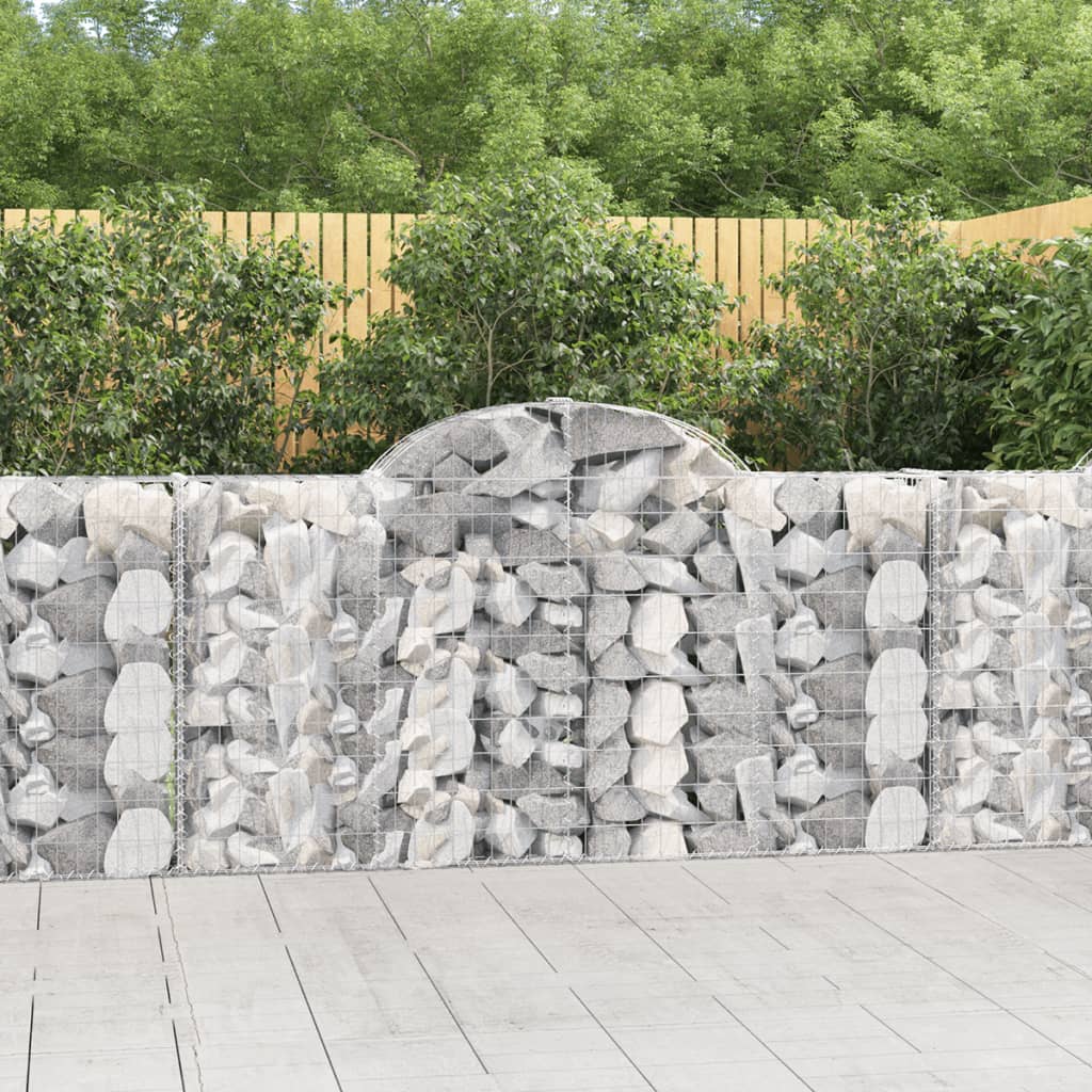 vidaXL Paniers à gabions arqués 40 pcs 200x30x100/120 cm Fer galvanisé