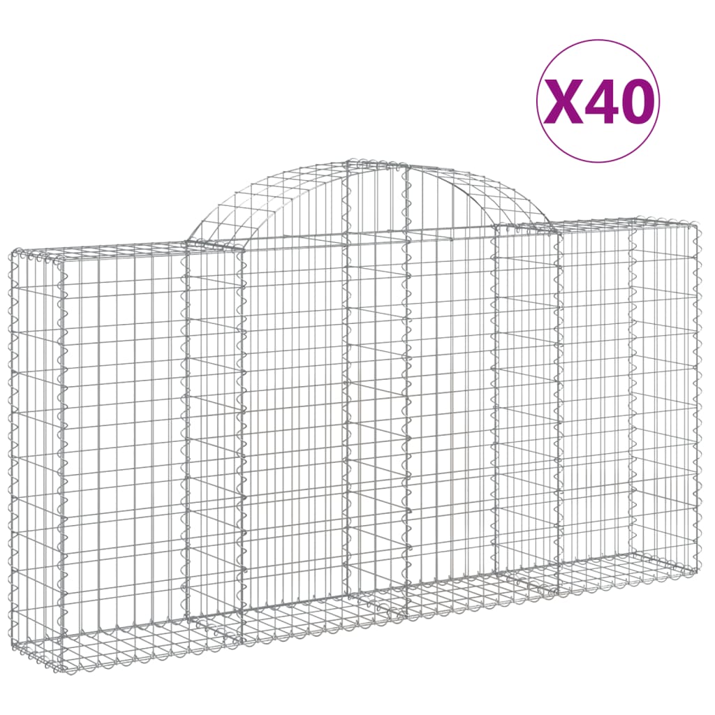 vidaXL Paniers à gabions arqués 40 pcs 200x30x100/120 cm Fer galvanisé