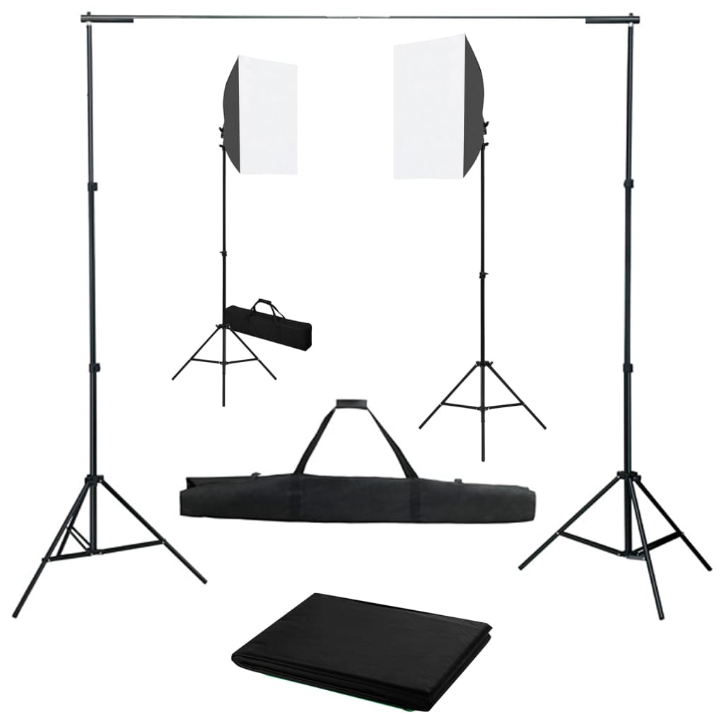 vidaXL Kit de studio photo avec boîtes à lumière et toile de fond