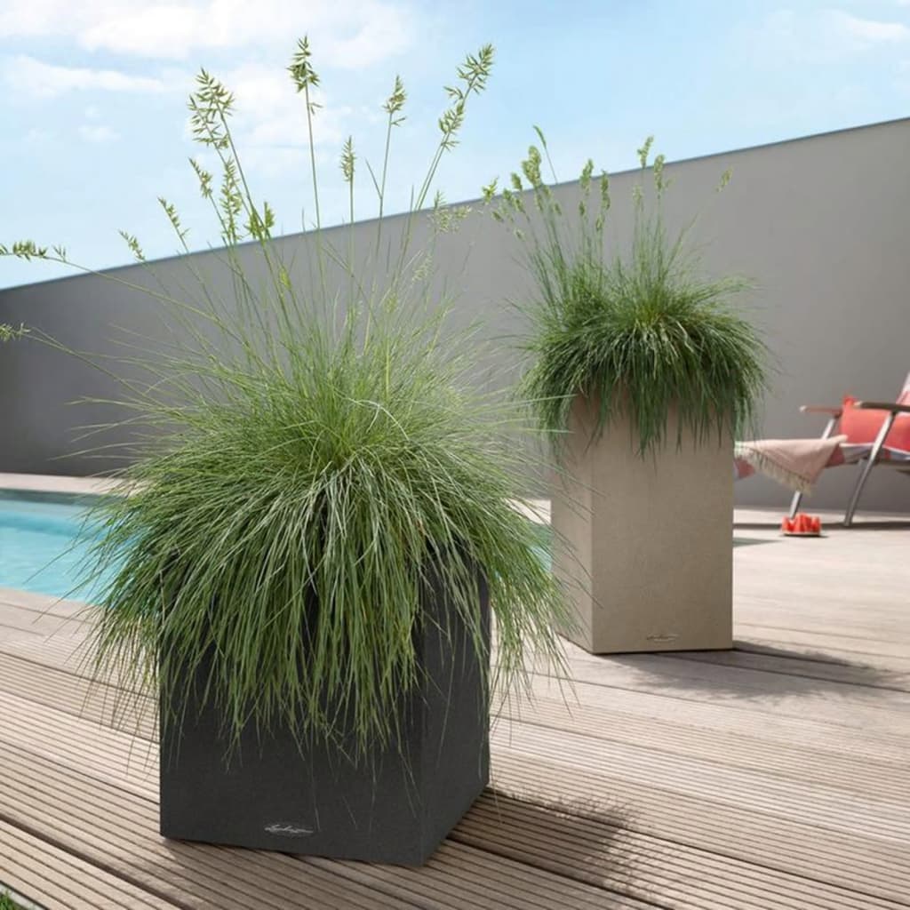 LECHUZA Jardinière CANTO Stone 30 Low ALL-IN-ONE Gris pierre