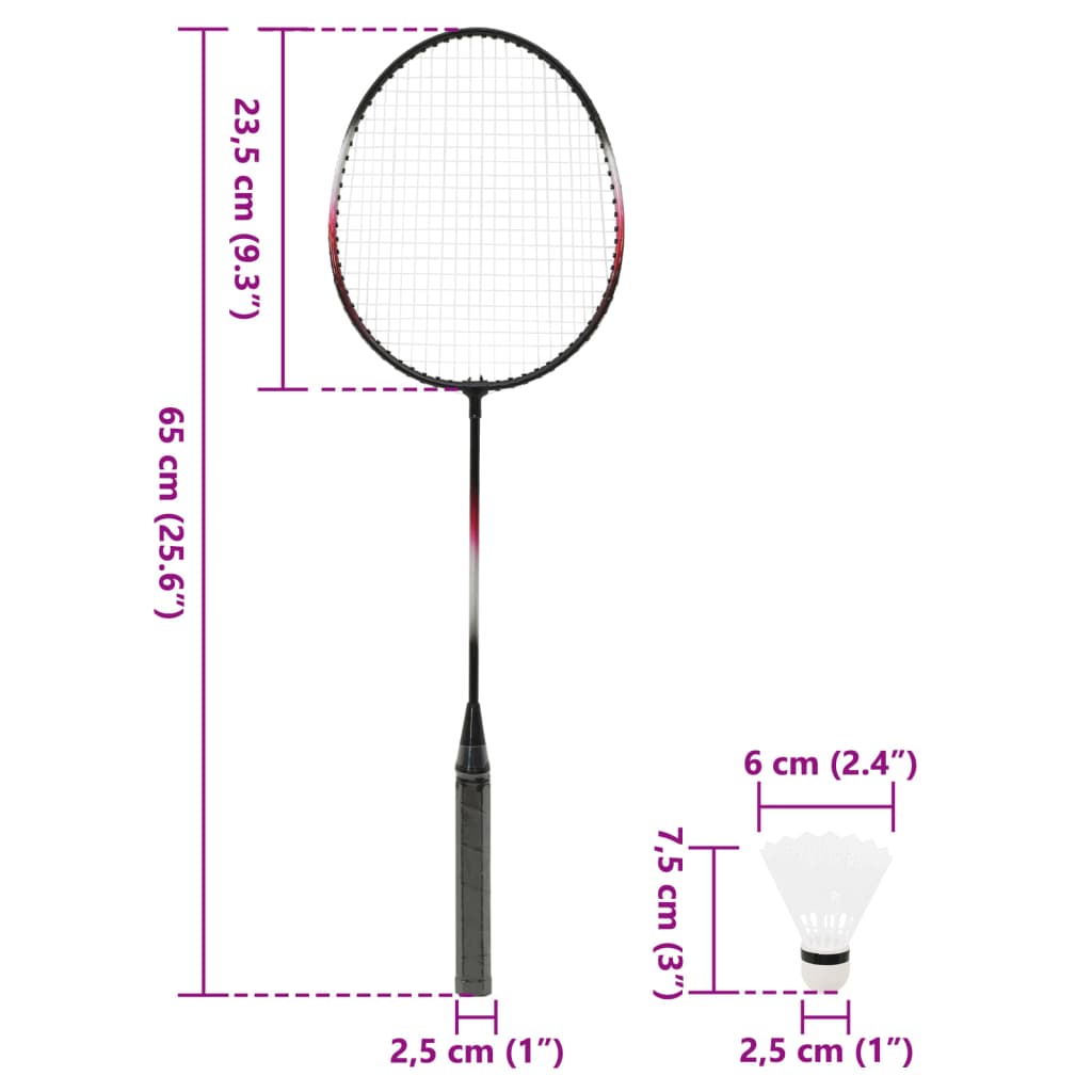 vidaXL Set de Badminton avec 2 raquettes, filet et coffret rangement