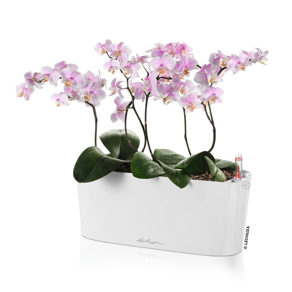 LECHUZA Jardinière DELTA 10 ALL-IN-ONE Blanc brillant