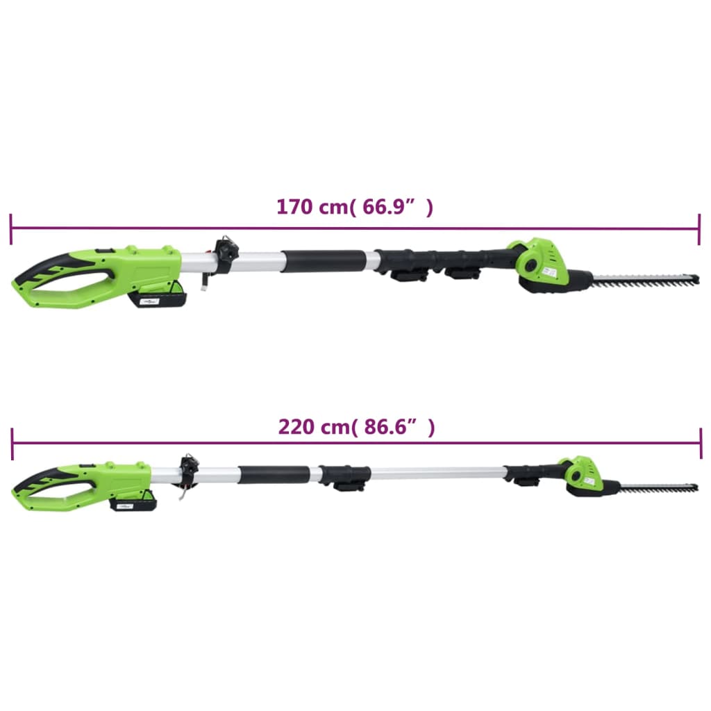 vidaXL Set outils électriques jardin sans fil 2pcs chargeurs/batteries