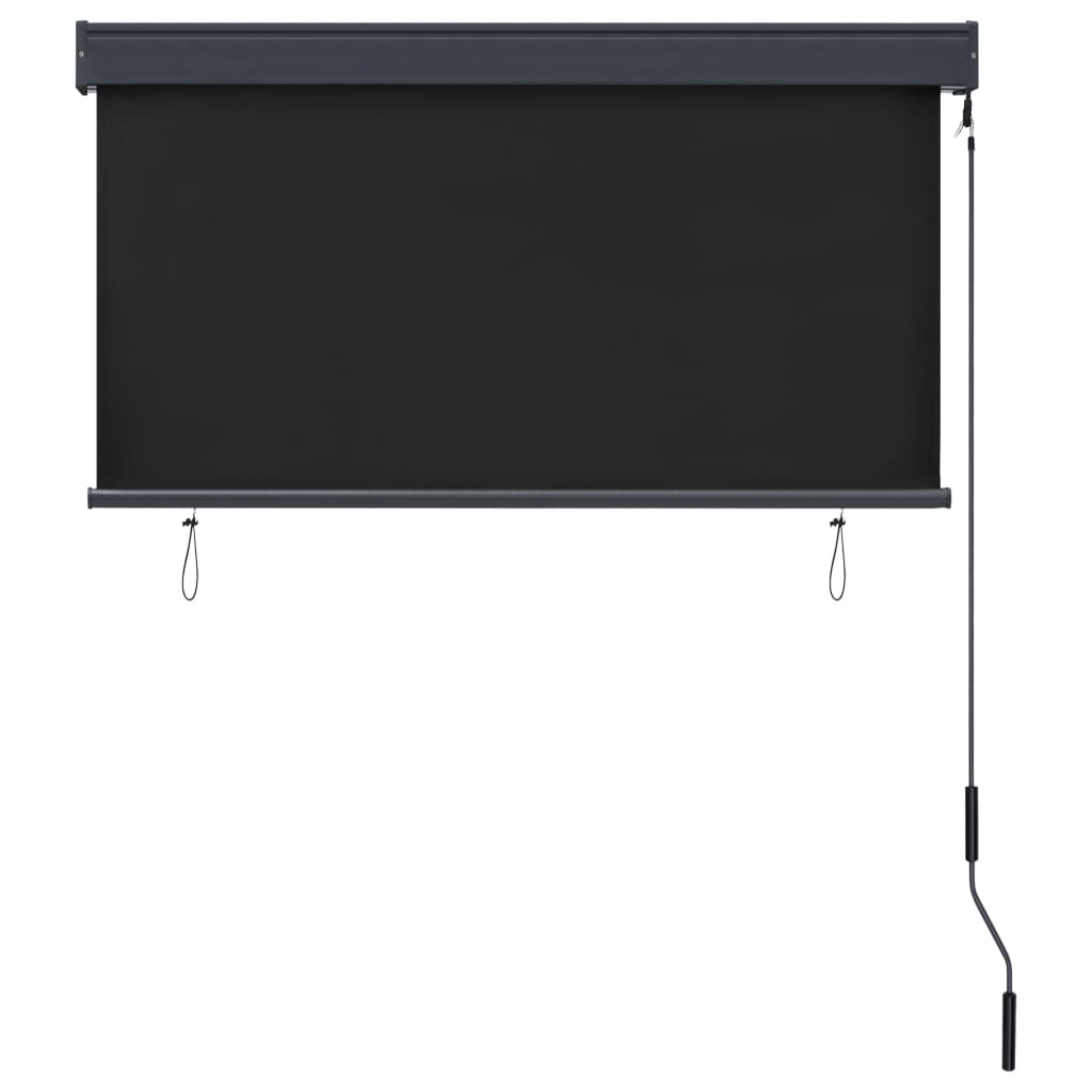 vidaXL Store roulant d'extérieur 120 x 250 cm Anthracite