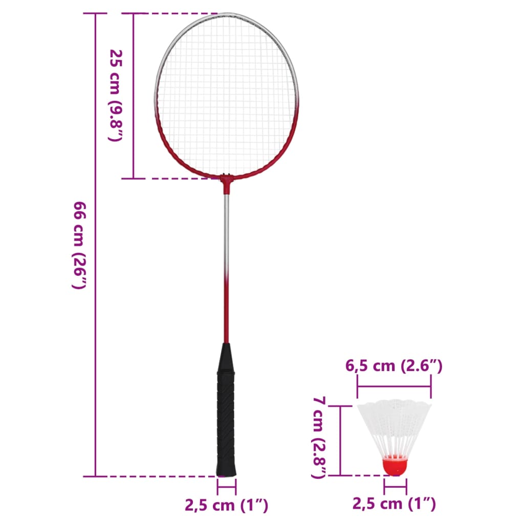 vidaXL Set de badminton avec 4 raquettes et filet 620x151 cm