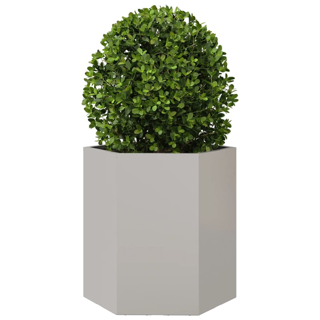 vidaXL Jardinière hexagone 46x40x45 cm acier inoxydable