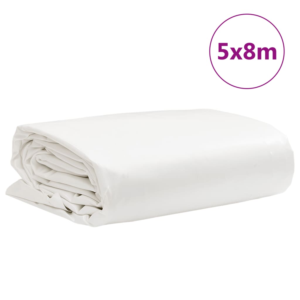 vidaXL Bâche blanc 5x8 m 650 g/m²