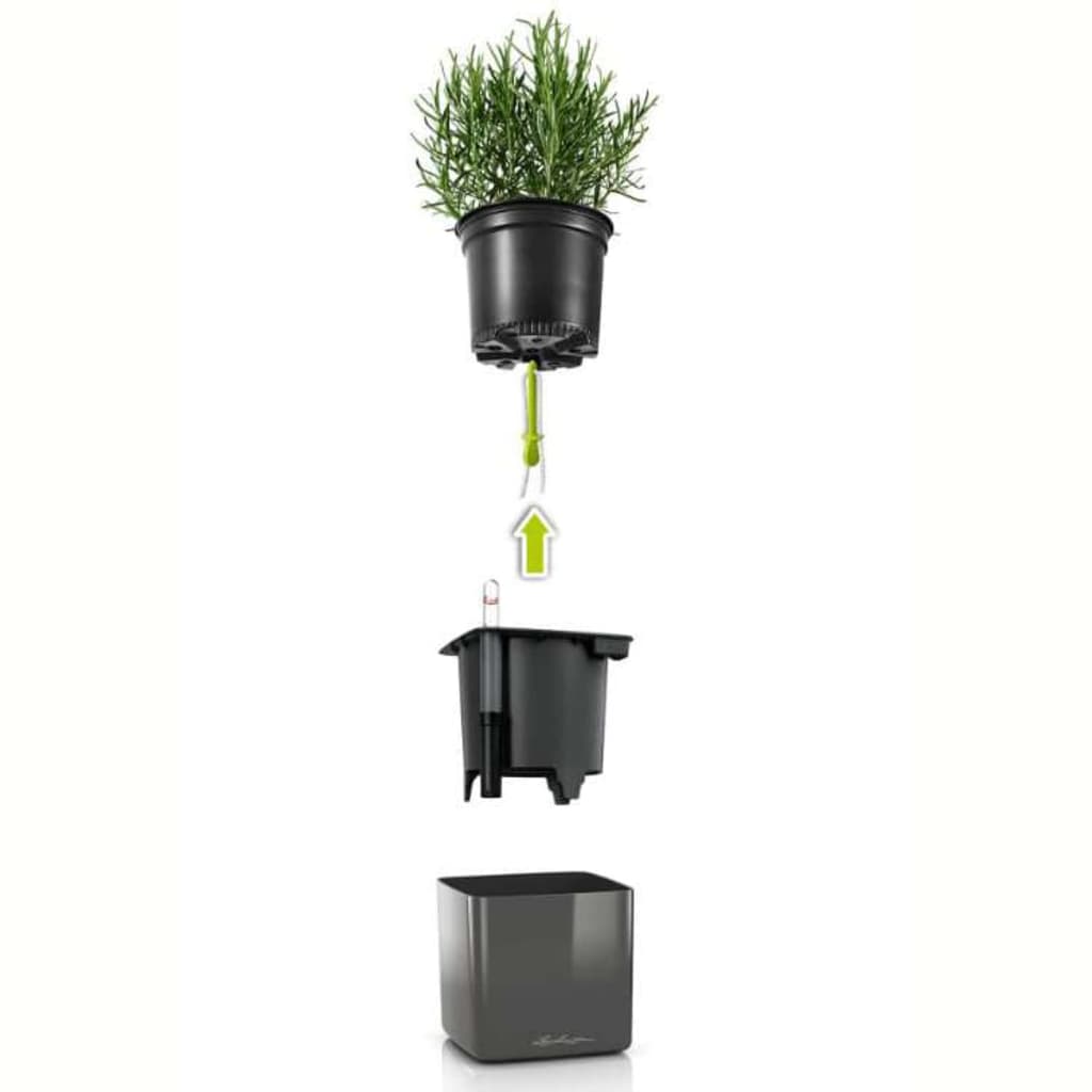 LECHUZA 3 pcs Jardinières Green Wall Home Kit Anthracite brillant