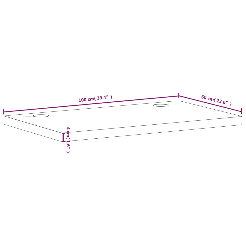 vidaXL Dessus de bureau 100x60x4 cm bois massif de hêtre